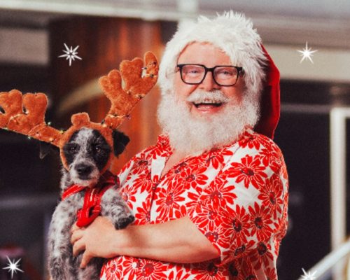 Imagen de viejo pascuero con un perrito