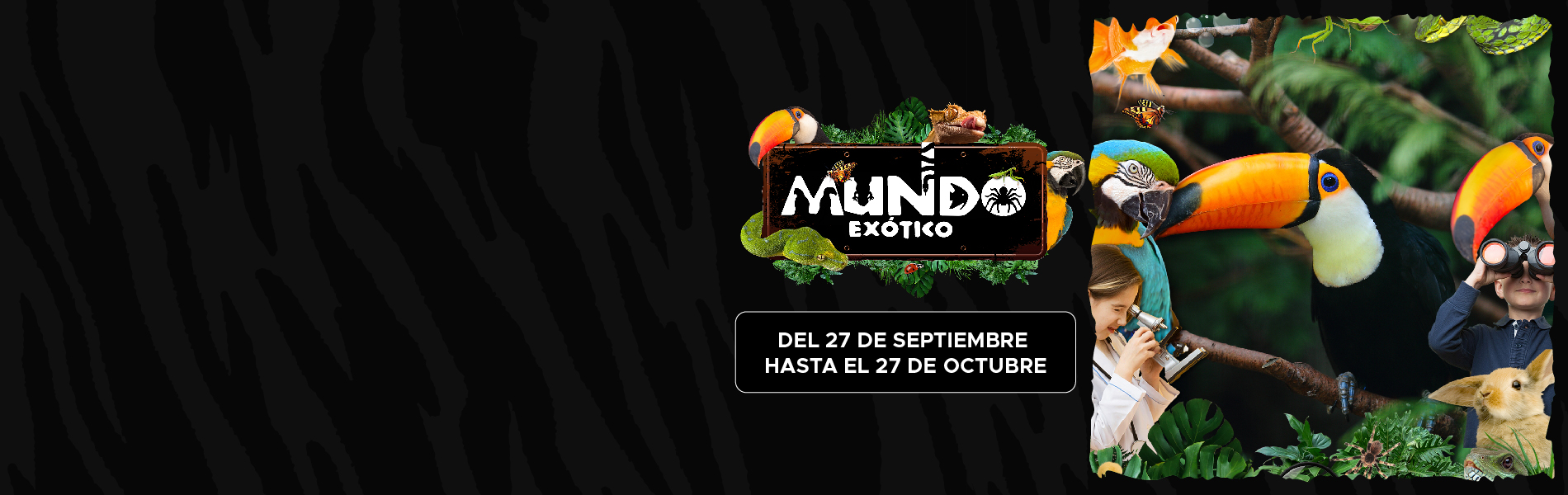 Banner Mundo Exótico